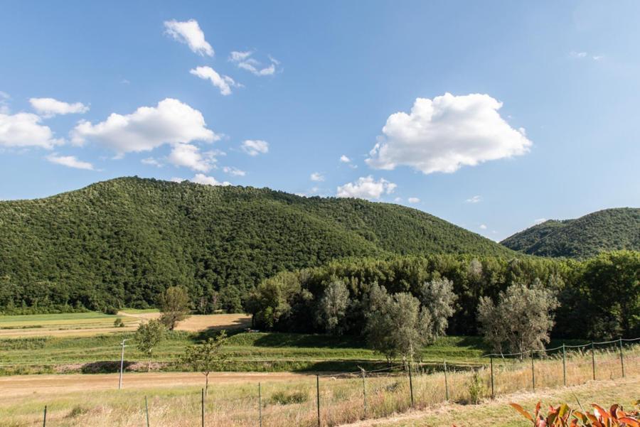Il Colombaio Agriturismo Montegabbione Ngoại thất bức ảnh
