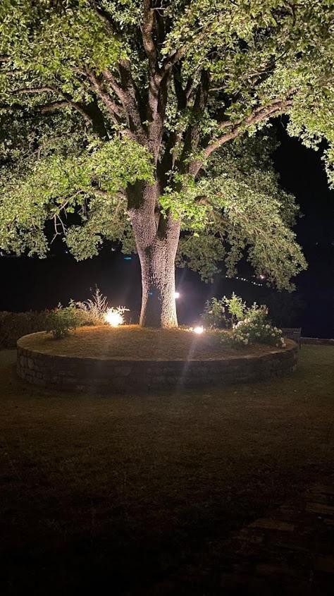 Il Colombaio Agriturismo Montegabbione Ngoại thất bức ảnh
