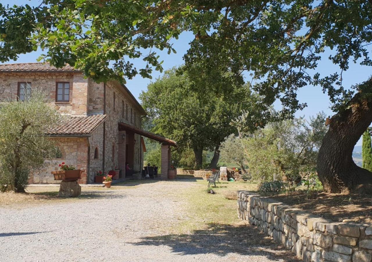Il Colombaio Agriturismo Montegabbione Ngoại thất bức ảnh
